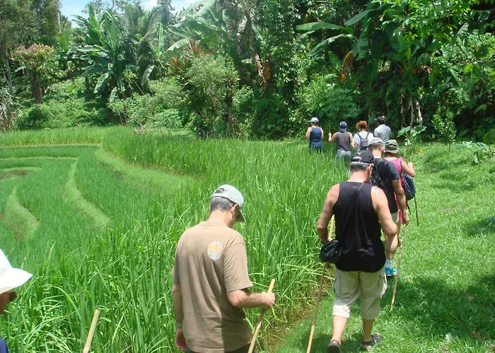Cempaka Belimbing Blimbing (Bali)