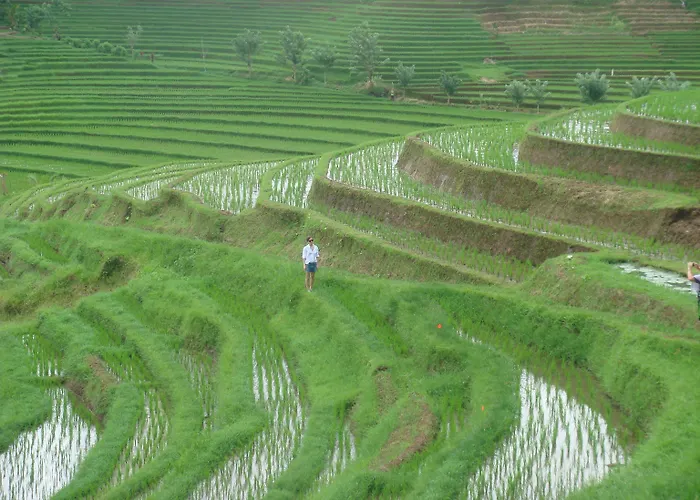 Cempaka Belimbing 4* Blimbing (Bali)