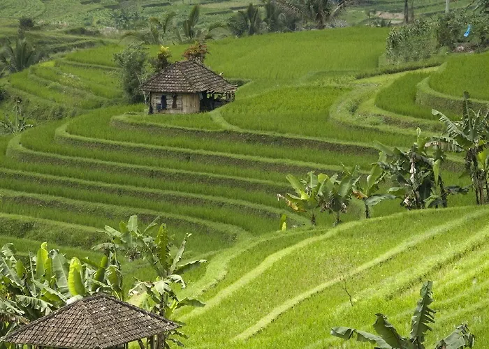 Cempaka Belimbing Ferienpark Blimbing (Bali)