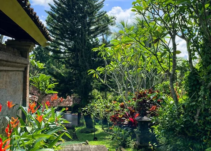 Cempaka Belimbing Blimbing (Bali)