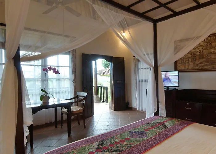 Cempaka Belimbing Blimbing (Bali)