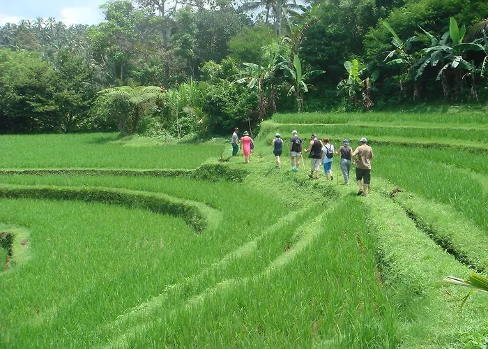 Cempaka Belimbing 4* Blimbing (Bali)